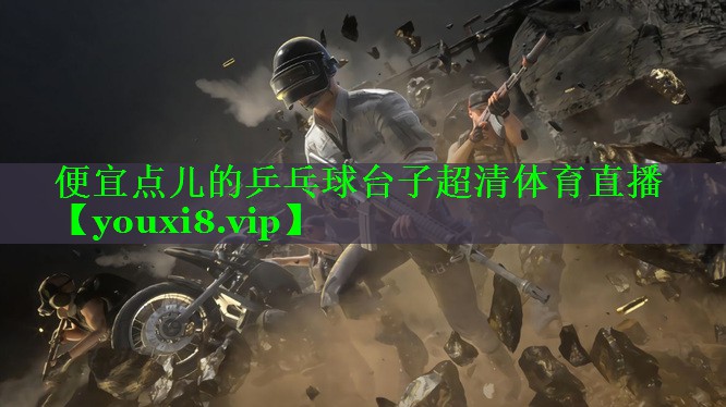 便宜点儿的乒乓球台子超清体育直播