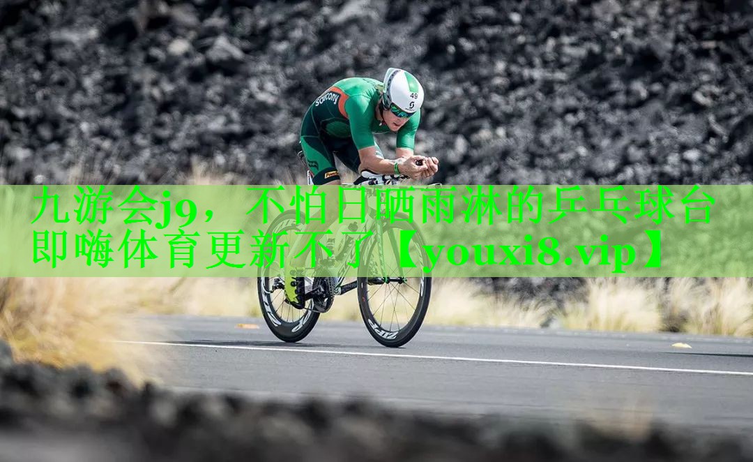 九游会j9，不怕日晒雨淋的乒乓球台即嗨体育更新不了