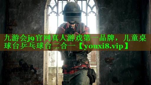 九游会j9官网真人游戏第一品牌，儿童桌球台乒乓球台二合一